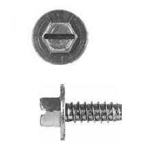 LISCENCE PLATE SCREWS