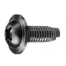 Hyundai Thread Cutting License Plate Screws