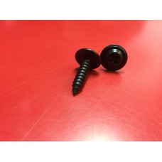 TRIM SCREWS